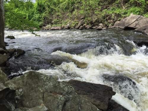 A flowing river with white water rapids, surrounded by lush greenery and rocky banks.
