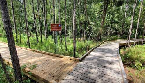 A wooden boardwalk winds through a lush green forest, with a sign visible in the background.