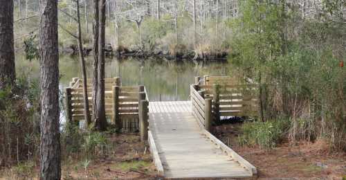 A wooden dock extends into a calm, reflective body of water, surrounded by trees and lush greenery.