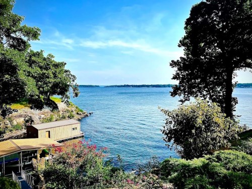 A serene lakeside view with a small dock, surrounded by trees and vibrant greenery under a clear blue sky.