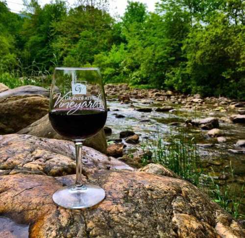 A glass of red wine sits on a rock by a flowing stream, surrounded by lush green trees.