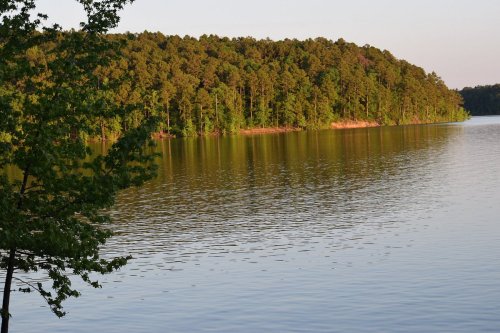 A serene lake surrounded by lush green trees, reflecting the calm water under soft sunlight.