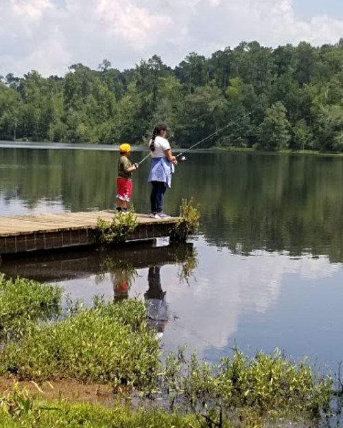 A child and an adult fishing from a wooden dock by a calm lake surrounded by greenery under a cloudy sky.