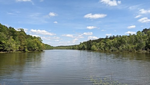 A serene lake surrounded by lush green trees under a blue sky with fluffy clouds.