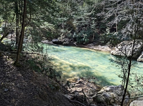 A serene river flows through a forested area, surrounded by rocks and lush greenery. Sunlight reflects on the water.