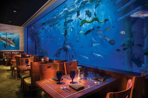A restaurant interior featuring a large aquarium wall filled with various fish and marine life.