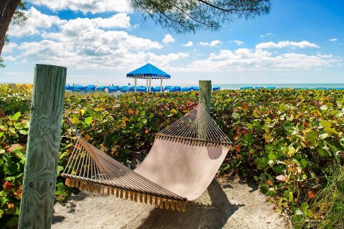 A hammock sways between two posts, surrounded by greenery, with a beach and blue sky in the background.
