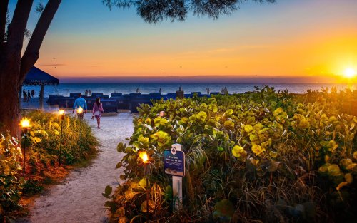 A sandy path leads to a beach at sunset, with lush greenery and people enjoying the view.