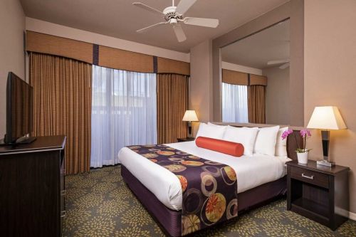 Cozy hotel room with a queen bed, decorative pillows, a TV, and large windows with curtains.