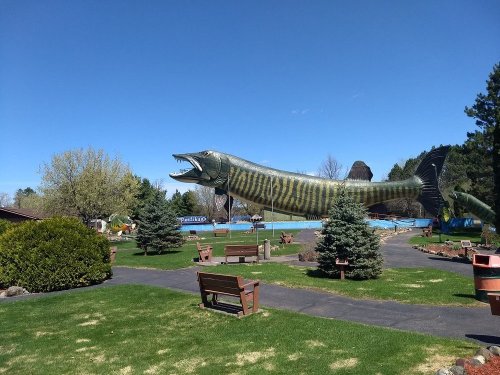 A large, painted fish sculpture stands in a park surrounded by trees, benches, and a clear blue sky.