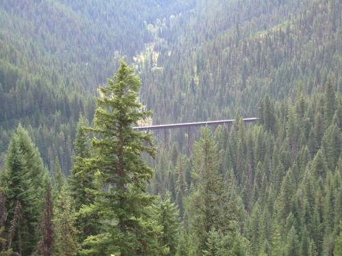 A long bridge spans a deep valley, surrounded by dense green forests and mountains in the background.