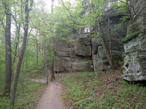 A winding dirt path through a lush green forest with large rock formations and trees.
