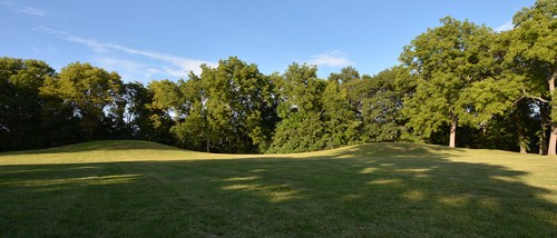 A grassy landscape with gentle hills and a backdrop of lush green trees under a clear blue sky.