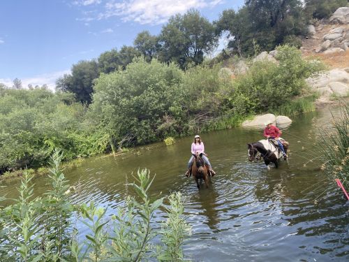 Two riders on horseback wade through a calm river, surrounded by lush greenery and rocky terrain under a blue sky.