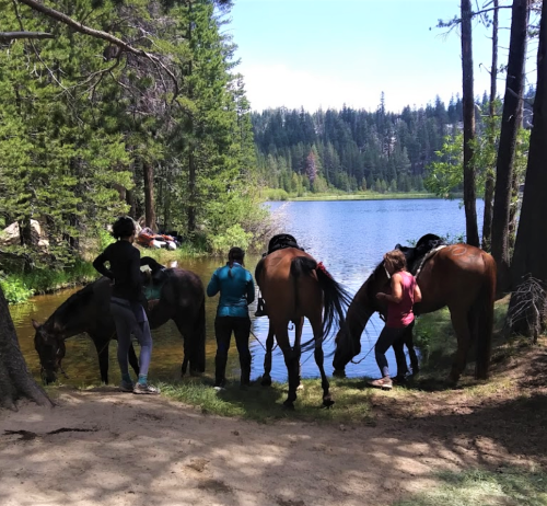 Two horses and three people stand by a serene lake surrounded by trees, enjoying a peaceful moment in nature.