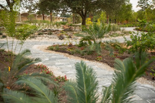 A winding stone pathway through a lush garden with various plants and trees, creating a serene outdoor space.