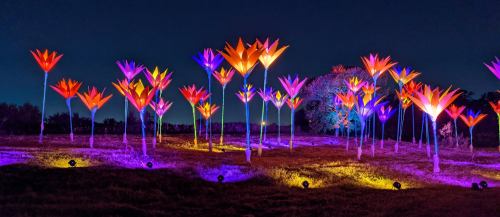 Colorful illuminated flowers in a field at night, creating a vibrant and enchanting atmosphere.