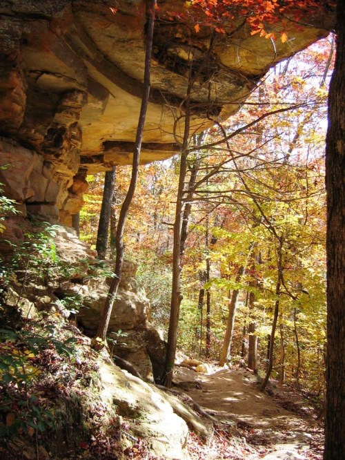A rocky overhang surrounded by colorful autumn trees and a dirt path winding through the forest.
