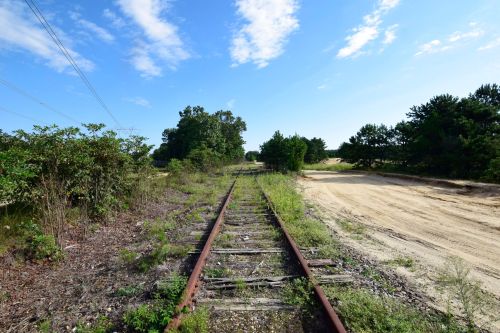 Abandoned railway tracks surrounded by overgrown vegetation under a clear blue sky.