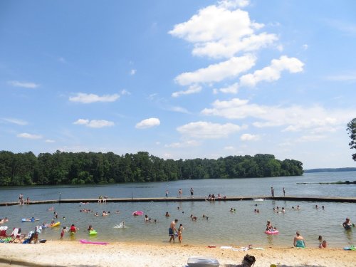A sunny beach scene with people swimming and relaxing in the water, surrounded by trees and a clear blue sky.