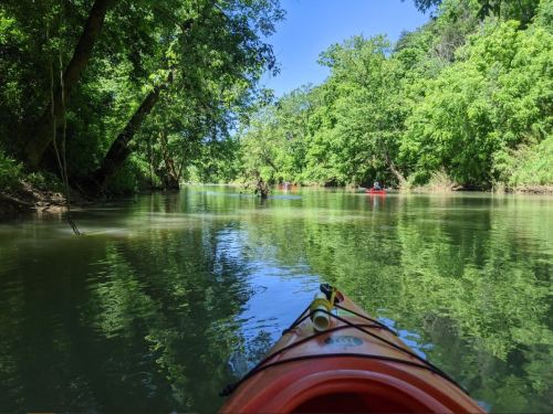 A view from a kayak on a calm river, surrounded by lush green trees and clear blue skies.