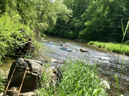 Two people kayak down a serene river surrounded by lush greenery and rocky banks on a sunny day.
