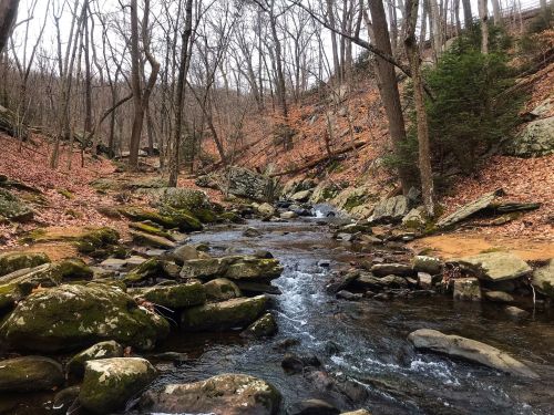 A serene stream flows through a rocky landscape, surrounded by bare trees and autumn leaves.
