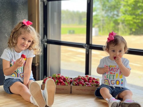 Two young girls sit on a wooden surface, enjoying strawberries, with a basket of berries in front of them and a sunny background.