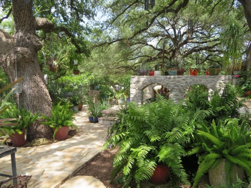 Lush garden scene with stone archways, vibrant ferns, and hanging plants under a canopy of trees.