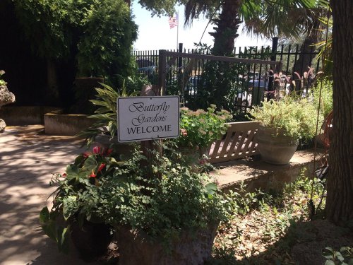 A sign reading "Butterfly Garden Welcome" surrounded by lush greenery and plants in a sunny outdoor setting.