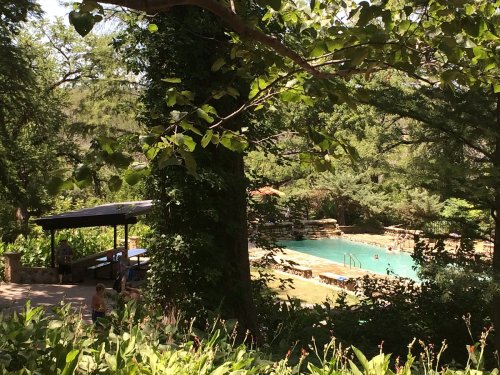 A serene outdoor pool surrounded by lush greenery and trees, with people relaxing nearby.