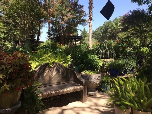 A serene garden scene featuring lush greenery, colorful plants, and a decorative stone bench under a clear blue sky.