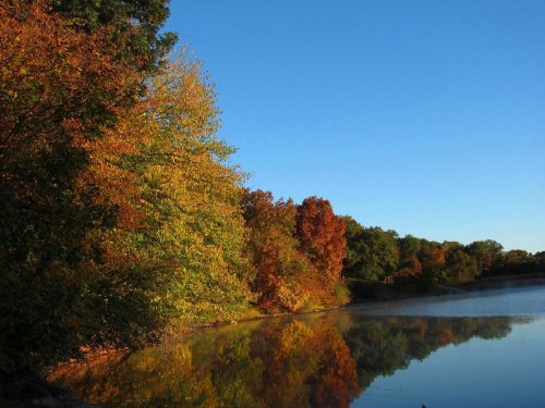 A serene lake surrounded by trees displaying vibrant autumn colors under a clear blue sky.