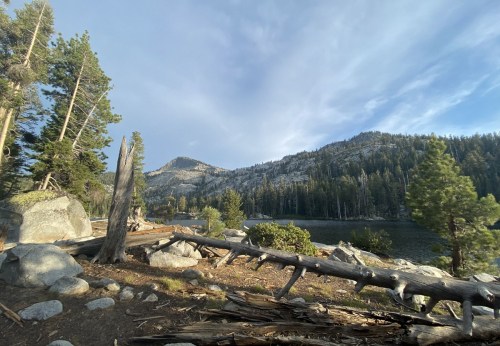 Scenic view of a forested landscape with mountains, a lake, and fallen logs under a cloudy sky.