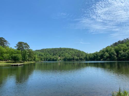 A serene lake surrounded by lush green trees under a clear blue sky, with gentle ripples on the water's surface.
