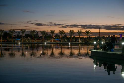 A serene lakeside scene at dusk, with palm trees and reflections on the water under a colorful sky.