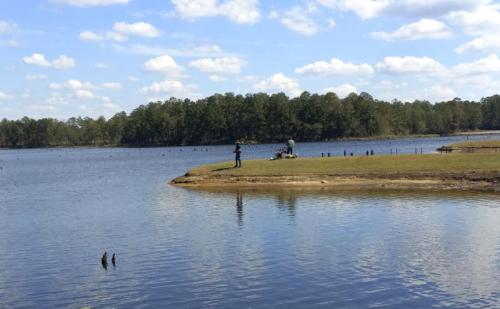 A person stands by a calm lake with trees in the background and a blue sky dotted with clouds.