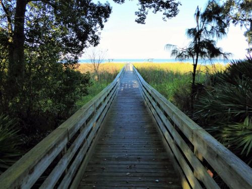 A wooden boardwalk leads through lush greenery to a serene body of water in the distance.