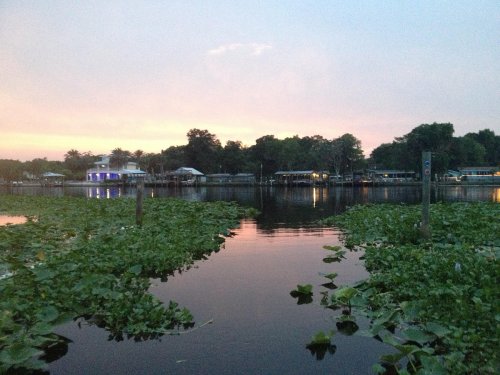 A serene waterway at dusk, lined with lily pads and illuminated buildings in the background under a colorful sky.