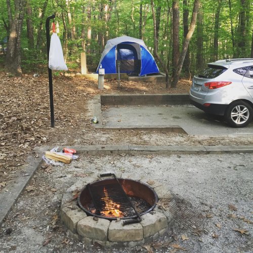 A campsite with a tent, a fire pit with flames, a parked car, and a hanging bag in a wooded area.