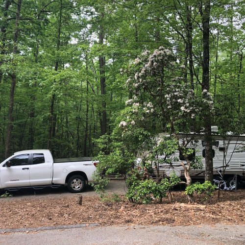 A white pickup truck parked next to a camper in a lush, green forested area with blooming flowers.