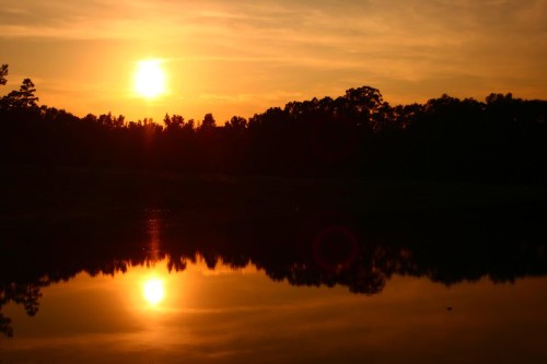 A serene sunset over a calm lake, with vibrant orange hues reflecting on the water and silhouettes of trees in the background.