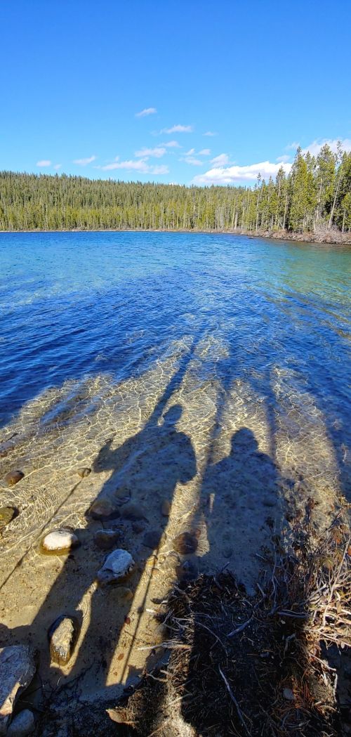 Shadows of two people cast on clear water by a forested shoreline under a blue sky.