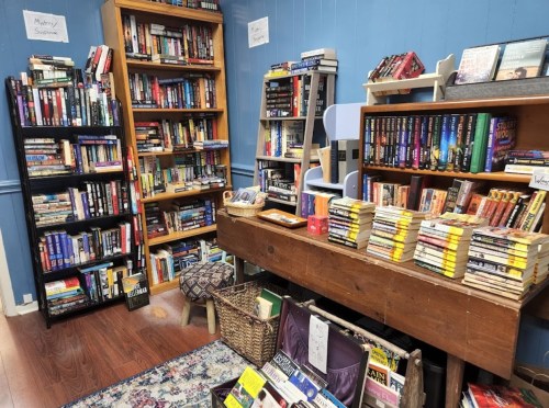 A cozy room filled with bookshelves, a wooden table stacked with books, and a patterned rug on the floor.