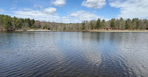 Laurel Lake Pennsylvania surrounded by forest