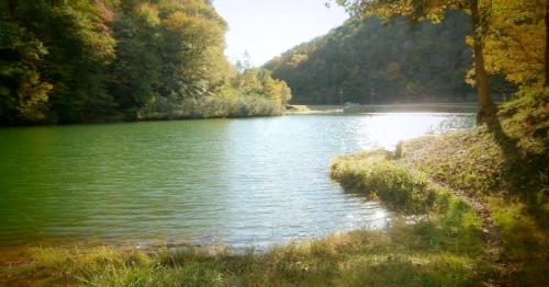 A serene lake surrounded by trees, reflecting sunlight, with a gentle shoreline and hills in the background.