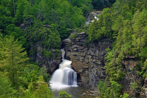 A serene waterfall cascades through rocky cliffs, surrounded by lush green trees in a tranquil natural setting.