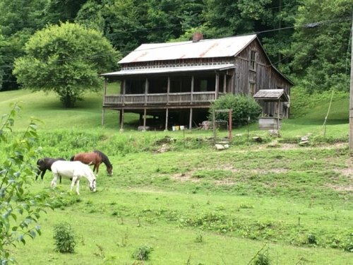 A rustic wooden house with a porch, surrounded by green grass and trees, with two horses grazing nearby.