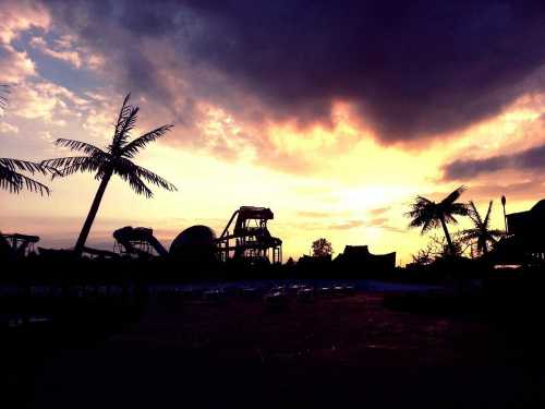 Silhouette of water slides against a colorful sunset, with palm trees in the foreground.