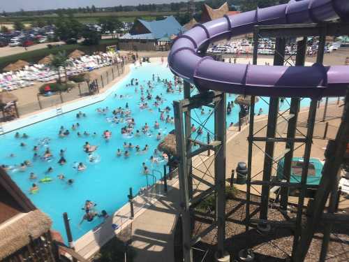 A water park scene featuring a large pool filled with people and a purple waterslide in the foreground.